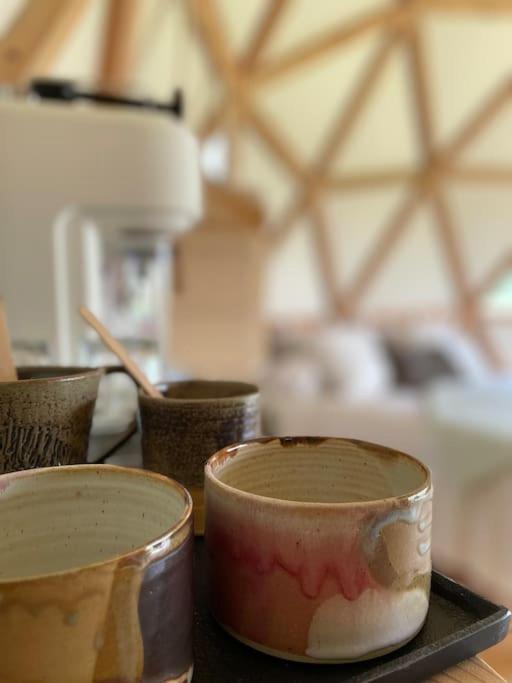 Dome Insolite Lichen Jacuzzi Et Petits-Dejeuners Inclus Gondrin Exteriör bild