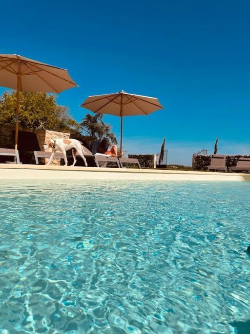 Dome Insolite Lichen Jacuzzi Et Petits-Dejeuners Inclus Gondrin Exteriör bild